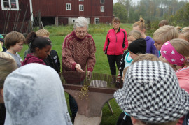 Karin Westin demonstrerar ett gammalt linredskap.